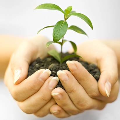 Two hands gently hold a small green plant growing in soil, symbolizing care, growth, and environmental protection, with a soft white background.