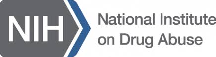 NIH logo next to the text National Institute on Drug Abuse on a white background.