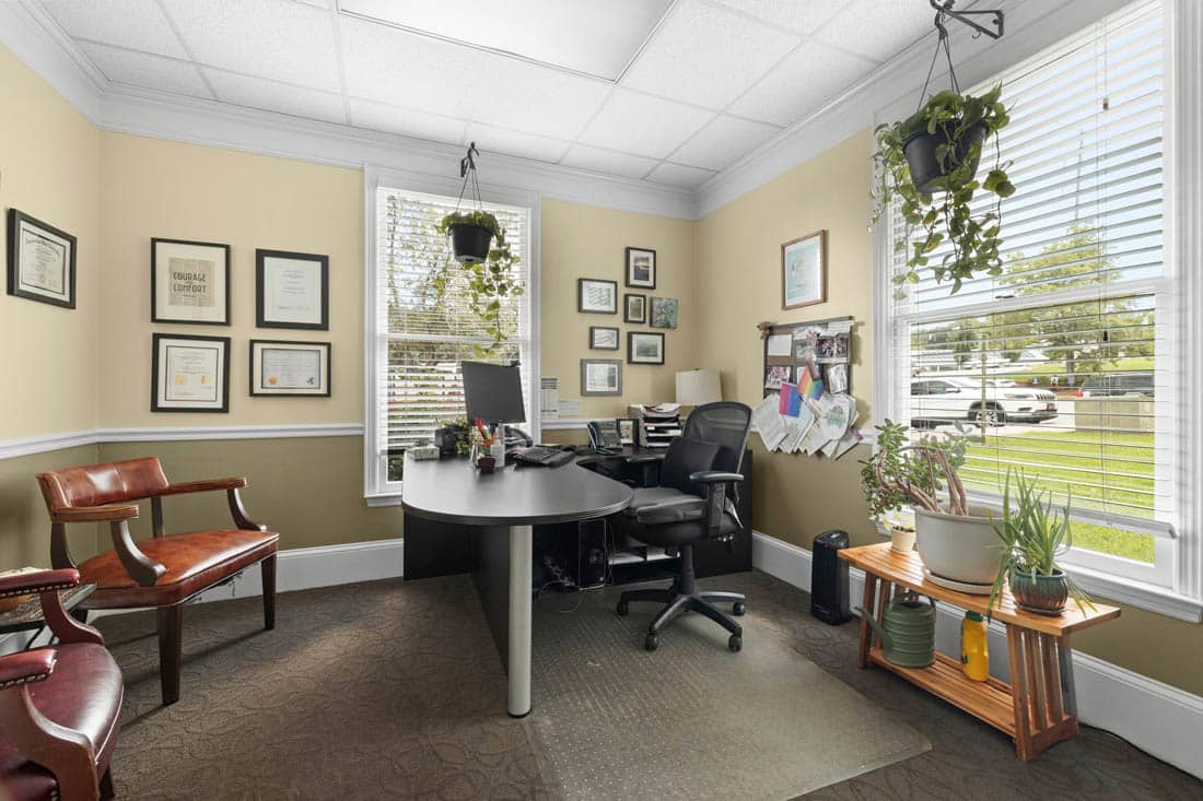 Modern office with a desk, computer, office chair, certificates on the wall, houseplants, and large windows letting in natural light. A wooden side table with plants sits by the window.